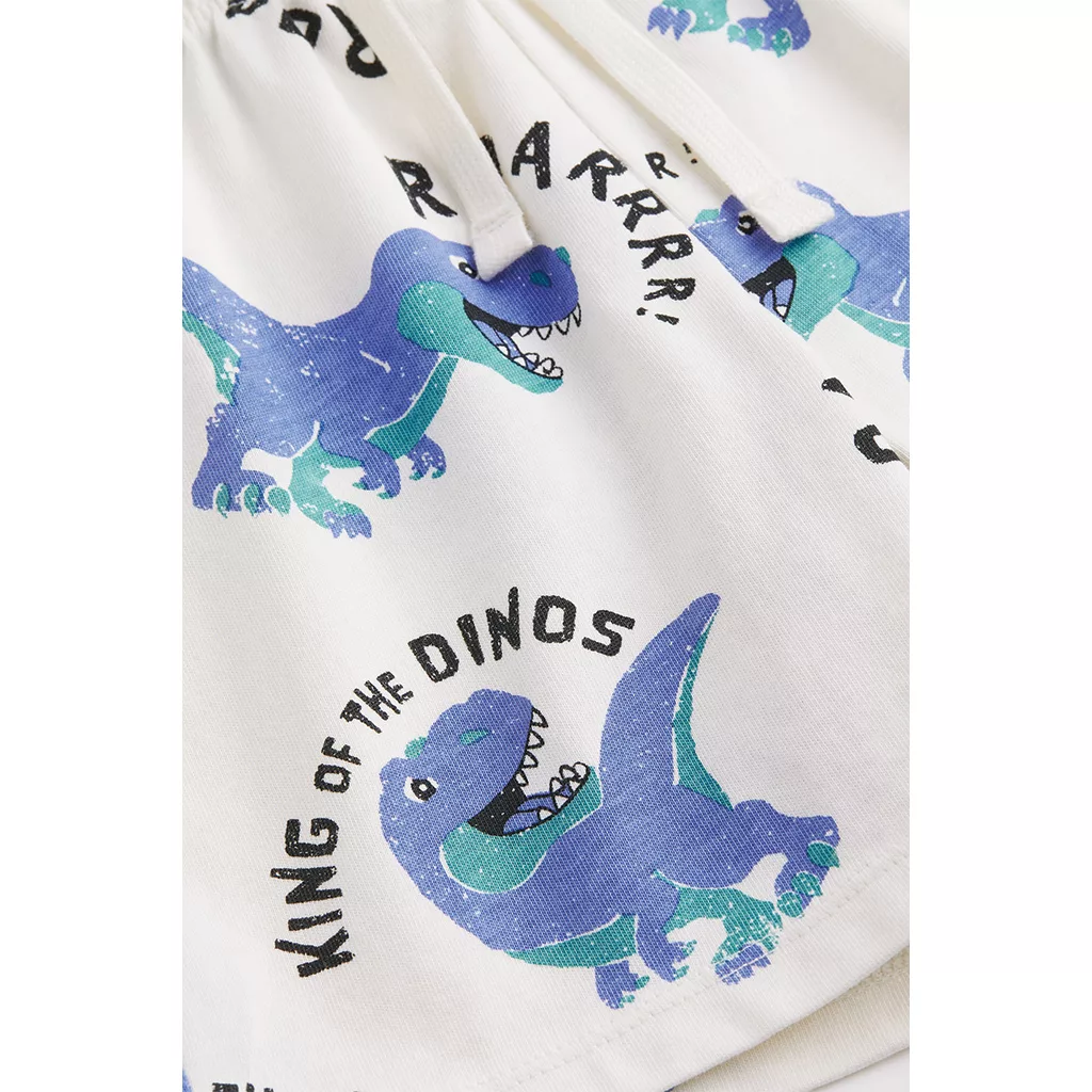 شلوارک پسرانه H&M